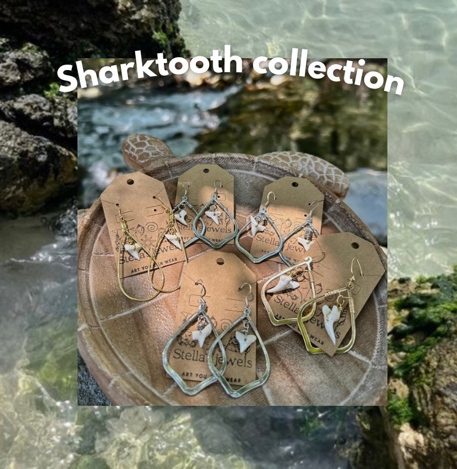 Shark tooth collection