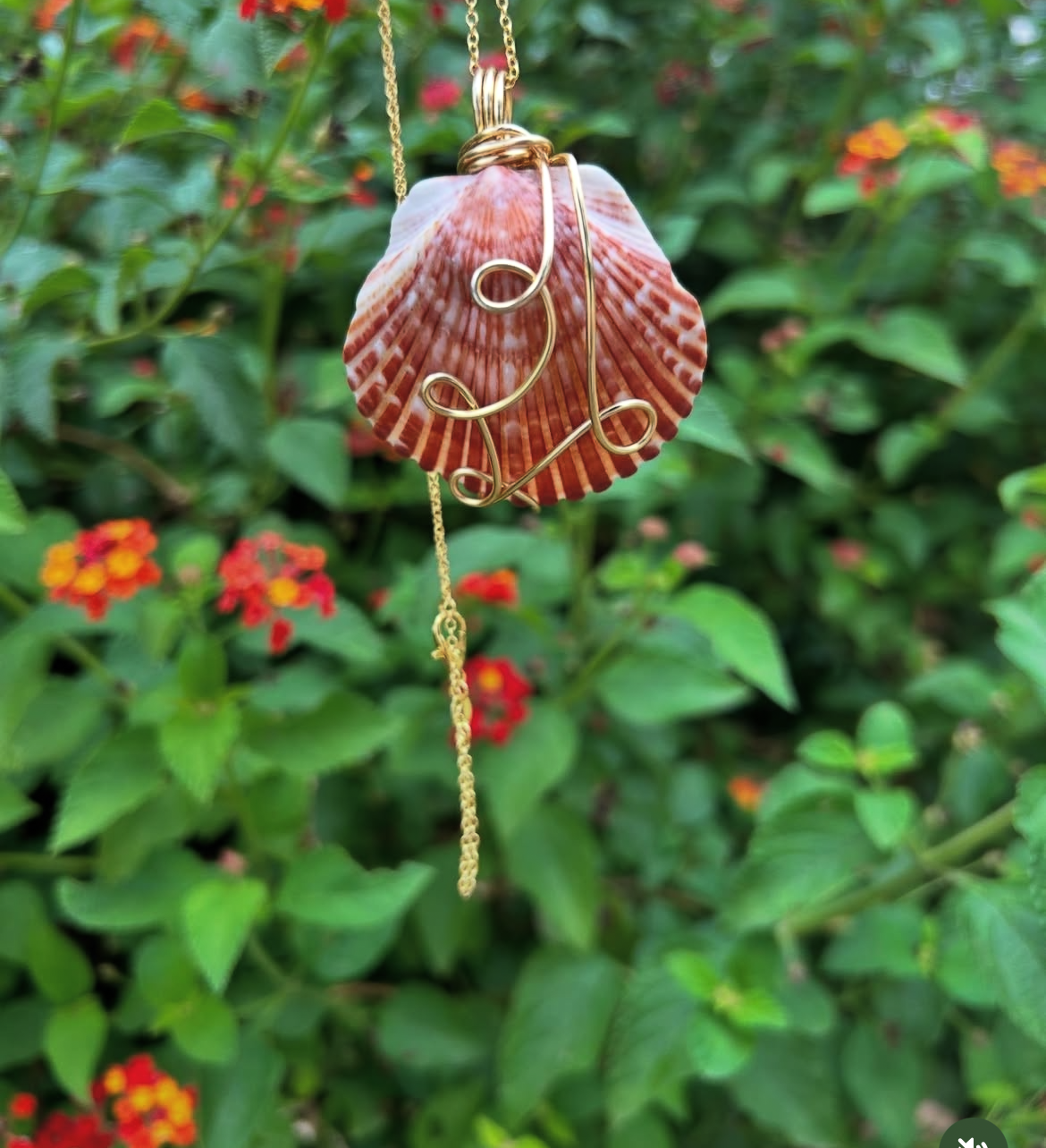 Gold wire wrapped sunny shell
