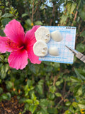 Bling Coastal hair clip set